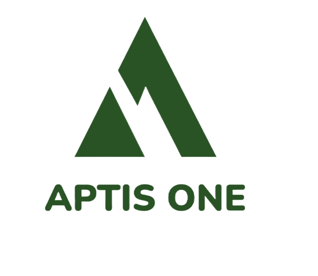 Aptis One